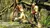 Heavenly Sword - PS3 Seminovo - RickyGames, consoles, jogos e tudo que o Geek precisa!!