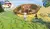 Lego Worlds - Xbox One Seminovo - RickyGames, consoles, jogos e tudo que o Geek precisa!!