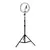 Ring Light 26cm - comprar online