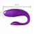 Vibrador Casal na internet