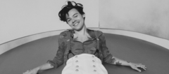 Banner de la categoría Harry Styles