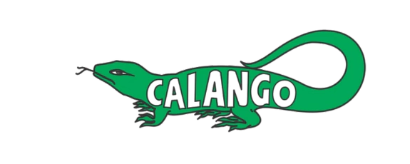 Calango Tecnologia Distribuidora de Chaves para Chaveiros profissionais.