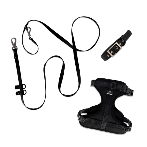 Arnés Pechera + Correa + Collar - comprar online