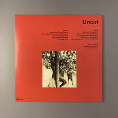 Slits - Uncut demos & raw mixes na internet