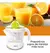 Exprimidor Eléctrico Jugos Cítricos Oryx 700ml Pico Vertedor - Zaylo Store