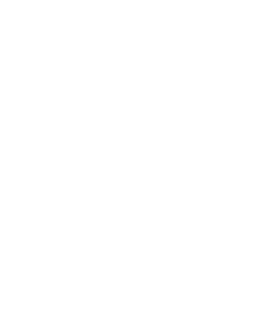 FUT REI CAMISAS