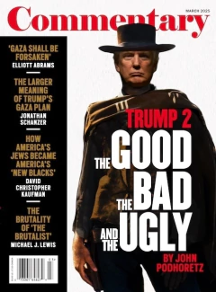 COMMENTARY REVISTA IMPORTADA AMERICANA - loja online