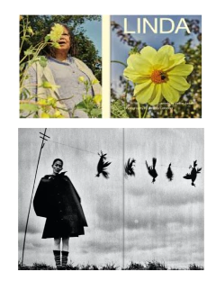 THE PLANT (#22) REVISTA IMPORTADA INGLESA - comprar online