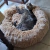 Gato descansando en una cama nórdica de 60 cm, suave y acogedora.