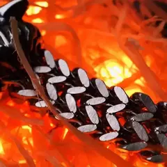 Pulsera Vikinga Fenrir - el Lobo Desatado - comprar online
