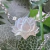 Escapulario Buda e flor de lotus - prata 925