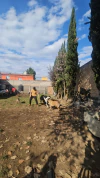 Donativos, perros de asistencia médica