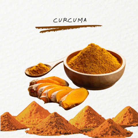 Raíz de curcuma