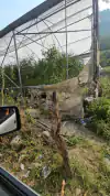 Apoya la reconstrucción de nuestro invernadero dañado por un incendio - comprar en línea
