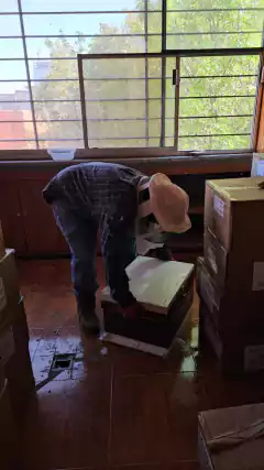 Apadrina una Abeja y Salva vidas - tienda en línea