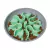Comedouro Interativo OH Fun Feeder Wobble Slo Bowl - Alimentação Saudável e Divertida - comprar online