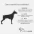 Agasalho para Cachorro Pocket New Pink Agridoce Pet na internet