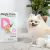 Imagem do Fralda Higiênica Descartável Fêmea Pacote com 6 Unidades Dog’s Care
