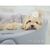 Cama para Cachorro Europa Pele Cinza Oh My Dog na internet