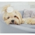 Cama para Cachorro Europa Pele Cinza Oh My Dog