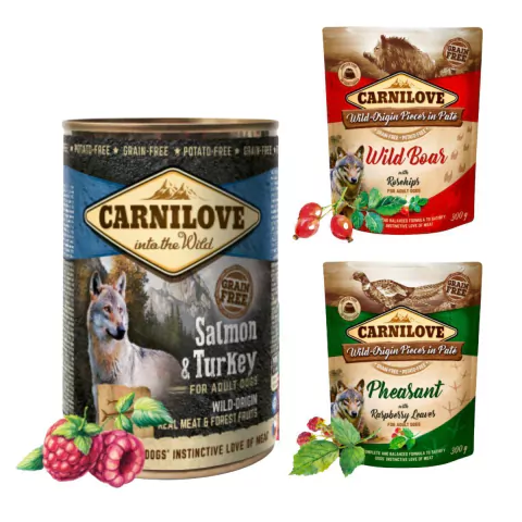 Kit Patê Carnilove 3 Sabores Faisão Javali e Salmão 300g - Alimentação Natural para Cães Adultos