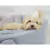Cama para Cachorro Europa Pele Cinza Oh My Dog - comprar online