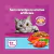 Ração Whiskas Carne para Gatos Castrados 10,1kg – Nutrição Equilibrada na internet