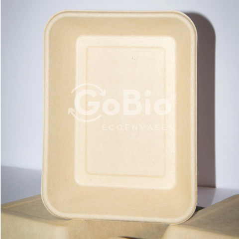 Bandeja 105 (900ml / 22x16x4cm) Fibra Natural - comprar online