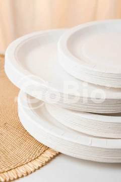 Plato 23cm Papel Kraft Blanco - GoBio Ecoenvases