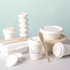 Set de envases biodegradables y compostables para delivery. Incluye vasos, bandejas, cubiertos y bowls ecológicos.
