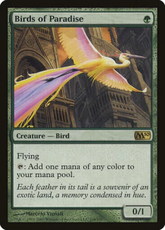 Birds of Paradise - comprar online
