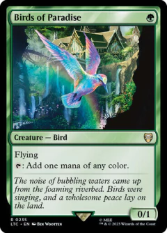Birds of Paradise en internet