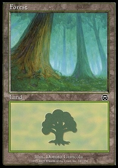Mercadian Masques Foil: Forest (347 A)