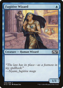 Fugitive Wizard en internet
