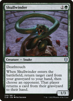 Skullwinder en internet