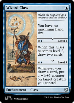 Wizard Class - comprar online