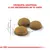 Royal Canin Gato indor LONG HAIR x1,5KG en internet
