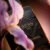 LATTAFA BADE'E AL OUD BLACK EXPOSED 100ML EDP - Roma Aroma | Perfumaria