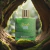RAYHAAN JUNGLE VIBE EDP 100ML na internet