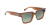 Anteojos de Sol Rusty ABOP C6 P - comprar online