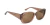Anteojos de Sol Rusty BARRIERS C2 P - comprar online