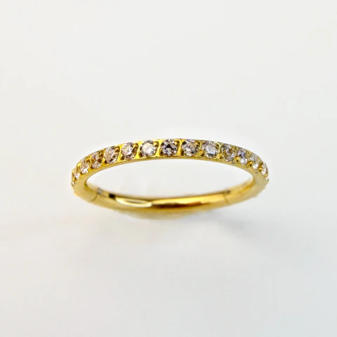 Argola cliker cravejada - Titânio PVD Gold