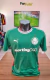 Camisa do Palmeiras 2025/26 Versão Jogador Verde