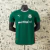 Camisa do Palmeiras 2025/26 Versão Jogador Verde na internet