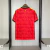 Camisa Seleção da Bélgica - 2026 Torcedor Adidas Masculina - loja online