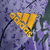 Camisa Real Madrid Edição Especial 23/24 - Torcedor Adidas Masculina - Roxa com detalhes em azul e amarelo - Rsportsrj