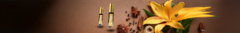 Banner de la categoría Decants