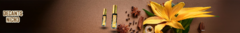 Banner de la categoría Colección Nicho