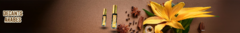 Banner de la categoría Colección Arabes