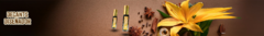 Banner de la categoría Colección Diseñador
